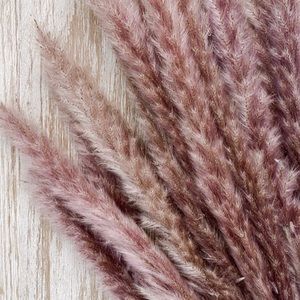 Meet your Posher, Brielle